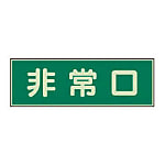 非常用誘導表示
