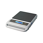 SA Series Portable Scale With General Calibration Documentation