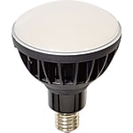 日動　ＬＥＤ交換球“ハイスペックエコビック５０Ｗ”