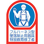 ヘルメット用ステッカー(233128)