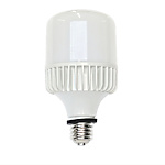 キラリトライトLEAD 工事用LED電球 口金E39 屋外用