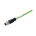 Copper Data Cable (Assembled), Connecting Line, M12 / M8, Male, Straight - Male, Straight, Shielded