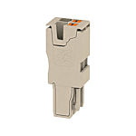 Plug for Terminal