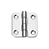 Stainless Steel Hinges Tapered Hole