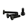 Low Head Hex Socket Head Cap Screws Class 12.9
