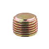 Tapered Screw Plug With Hex Socket Head (Sink)