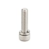 Socket Head Cap Screws/with Spring Washer