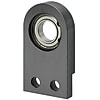 Bearings with Housing - Side Mount with Undercut, Retained