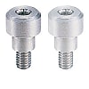 [Clean & Pack] Fulcrum Screw - Stepped, Hex Socket