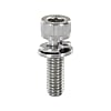 Hex Socket Head Cap Screws With Flat Washer / Spring Washer - Small Box, Single Item [RoHS Compliant]