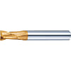 TSC係列硬質合金端銑刀,2-Flute / 1.5 d刀刃長度(存根)模型