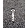 4.2x 32mm 木工ビス(ユニクロメッキ/800本)