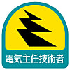 Electrical Safety Signs Sticker for Helmet