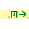 Medium Bright Luminescent Floor Indication Mark "Emergency Exit→" Luminescent FA-701