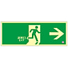 Medium Bright Luminescent Evacuation Door Sign "Emergency Exit→" Luminescent FA-802