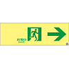 高亮度磷光通道指示牌“緊急出口→”ASN901