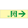 High Brightness Phosphorescent Passage Guidance Sign "Emergency Exit →" Luminescent LE-1901