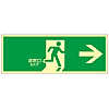 High Brightness Phosphorescent Emergency Exit Sign "Emergency Exit →" Luminescent LE-1801