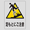 Transparent sticker Watch your step TM-10M