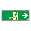 Medium luminance emergency exit sign (Wall sticker type)