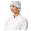 ガードナー ADCLEAN ELヘアーネット G7422-1-M