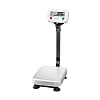 SE-K Series Dust-Proof And Waterproof Platform Scale With Validation