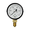 General Industrial Pressure Gauge (ø60, Lower Connection / Type A, Wetted Parts: General Use, Performance: Vibration-Proof Type)