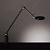 Z-LIGHT