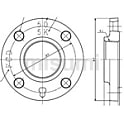 ダクタイル製ねじ込み式フランジ