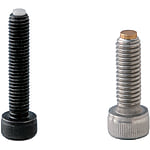 Socket Head Cap Screws / with Soft Point
