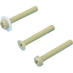 Polyphenylene Sulfide Screws