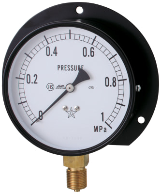General Purpose Pressure Gauge (B Type Vertical / Diameter ø100