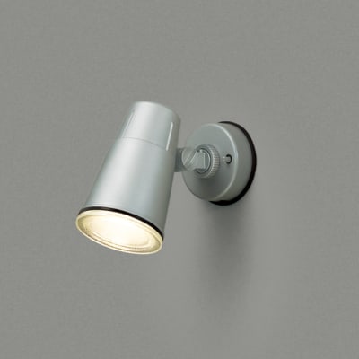 住宅用 ランプ交換可能形 屋外スポットライト LED電球 | 東芝 